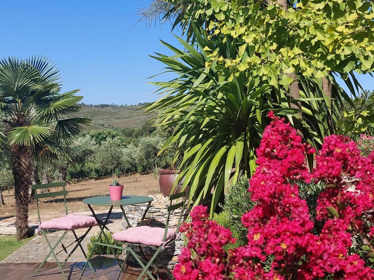 Quinta Das Regueiras فيزيو المظهر الخارجي الصورة